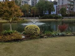 -西北湖绿化广场