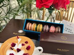 -PAUL LAFAYET 法式甜品(港汇广场店)