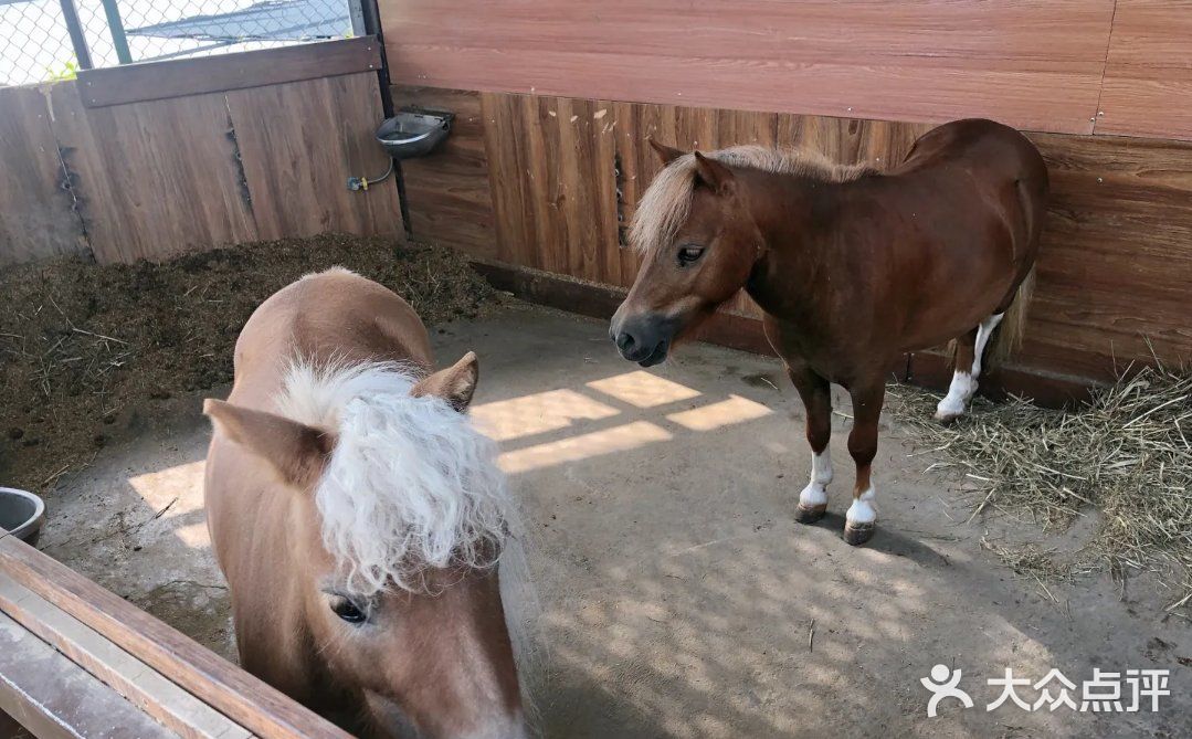 春天马术🏇🏻知道一下！