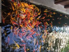 iphone_upload_pic-三亚亚龙湾五号度假别墅酒店