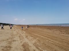 -日照海滨国家森林公园