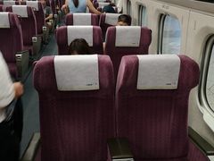 -文府路口(Taiwan High Speed Rail Zuoying Station)