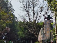 -森波拉奇妙世界