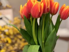 -循礼门鲜花花市(武汉循礼门店)