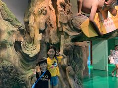 -杭州开元森泊度假乐园