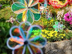 -广州市白云山风景名胜区