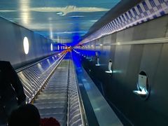 -白鹤梁水下博物馆