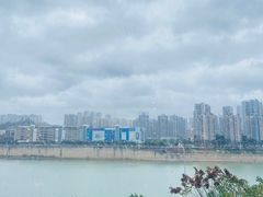 -李子坝梁山鸡(李子坝大鸡哥店)