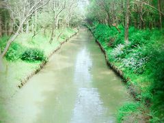 -同里国家湿地公园