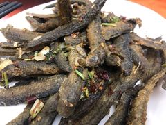 -石山特色饭酒楼