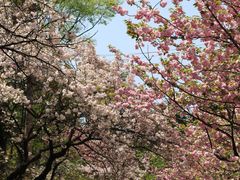 -贵州师范大学(宝山北路校区)