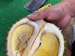 -榴莲BB 四季果园