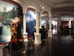 石头展示观-上海海湾国家森林公园