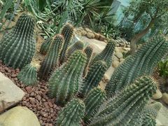 -郑州植物园