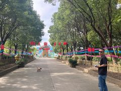 -上海都市菜园