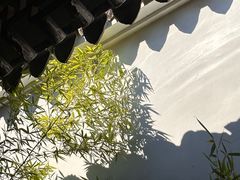 -苏州园林博物馆