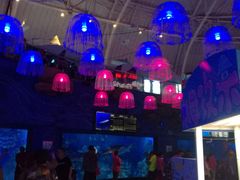 -烟台海昌鲸鲨海洋公园