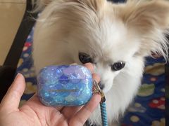 -星巴克(天津佛罗伦萨小镇店)