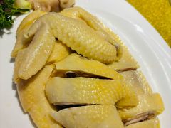 -大树头森林餐厅(番禺广场店)