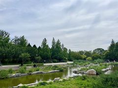 -大望京公园