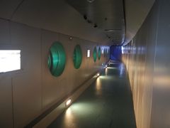 -白鹤梁水下博物馆