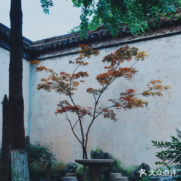 苏州旅游/同里古镇水上园林经典--退思园