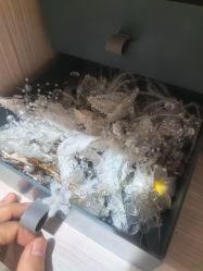 -爱儿美儿童摄影(奥森公园店)