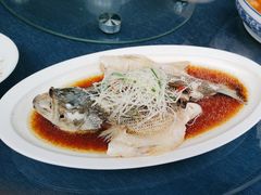 -院8里·小乐园家常味川菜(鹭洲里店)
