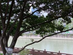 -成都市活水公园