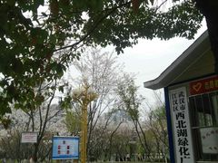 -西北湖绿化广场