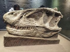 -自贡恐龙博物馆