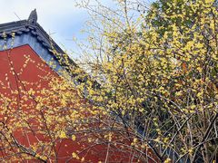 -钱王祠