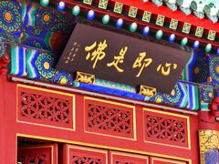 -天津大悲禅院