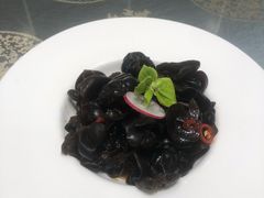 爽口小木耳-金熙楼(熙南里店)