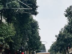 -安仁古镇