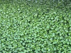 -东方之珠洗浴休闲广场(和平店)