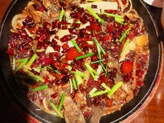 -老板恋上鱼(高新万达店)