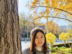 -三里屯东五街银杏大道