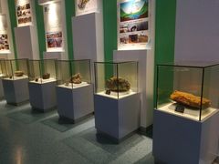 -金钉子远古世界景区