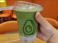 -油梨树 AVOCADO TREE(亮马桥店)