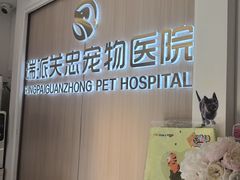 -瑞派·关忠动物医院·猫专科·犬专科(三环新城店)