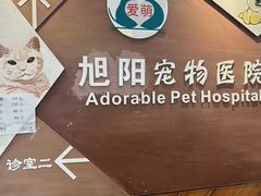 -美联众合宠物医院·爱萌分院·内外科·猫科中心