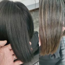 -YESIDO椰岛造型