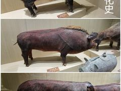 -中国农业博物馆