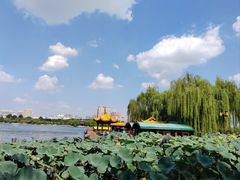 -济南大明湖景区