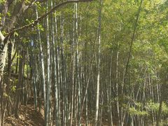 -穹窿山景区