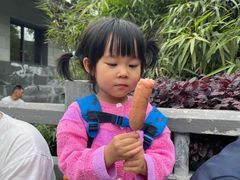 -中国大熊猫保护研究中心雅安碧峰峡基地