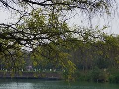 -西溪国家湿地公园