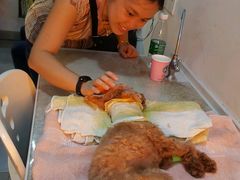 -严国平动物医院(德政总院)