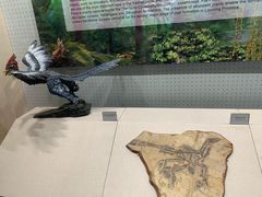 -辽宁古生物博物馆